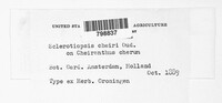 Image Associated With the Occurence